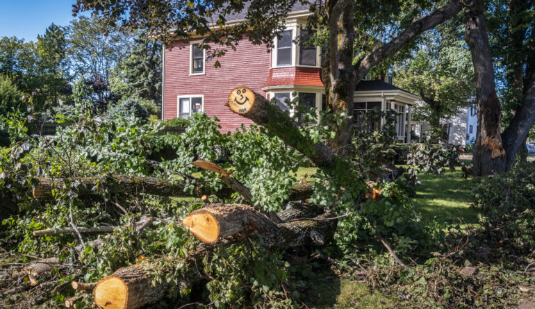 Tree Care and Removal in Bethany Beach, Delaware Service Serving Sussex County Delaware by Gibbs Tree Service