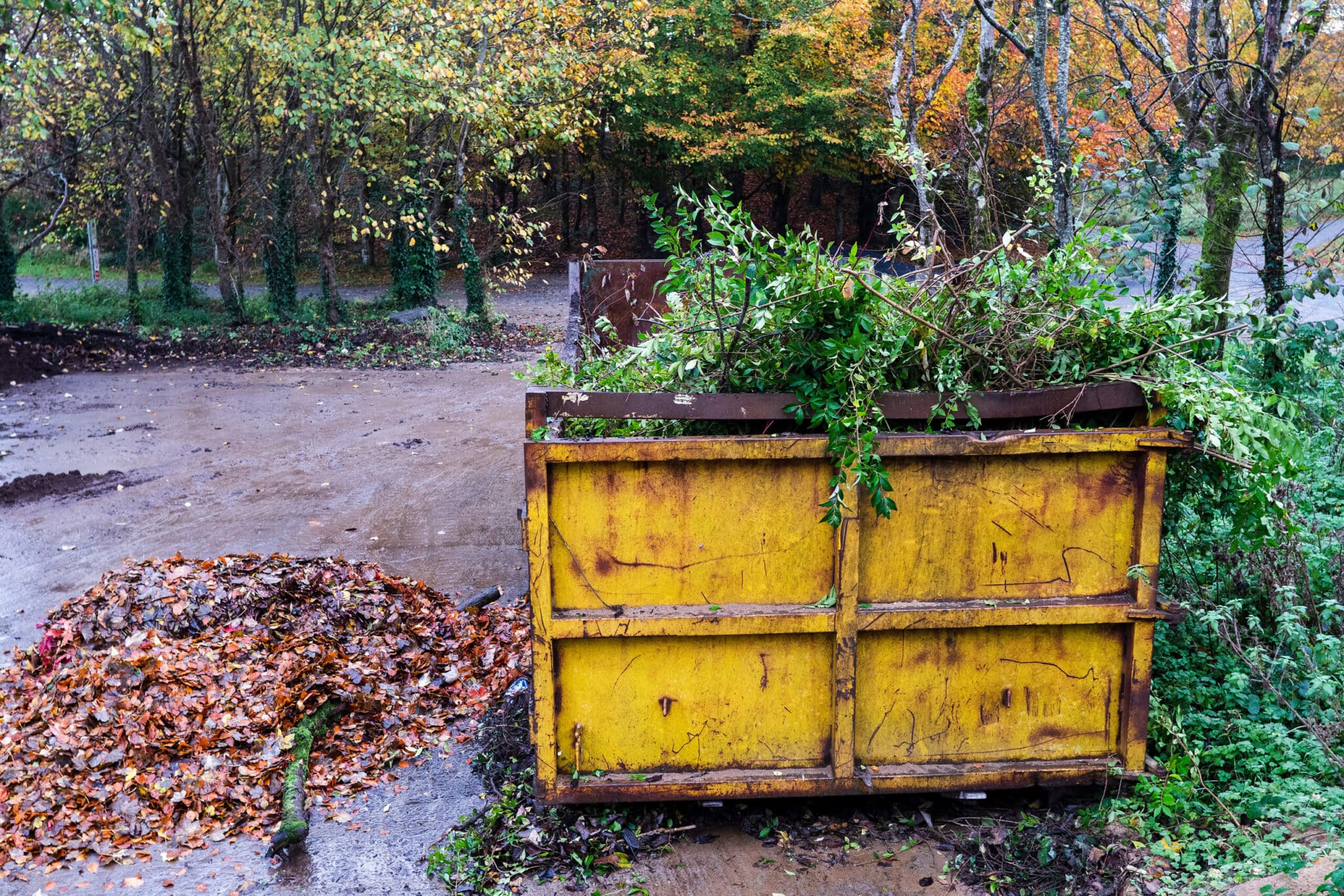 Tree and Yard Debris Removal and Disposal Serving Sussex County Delaware