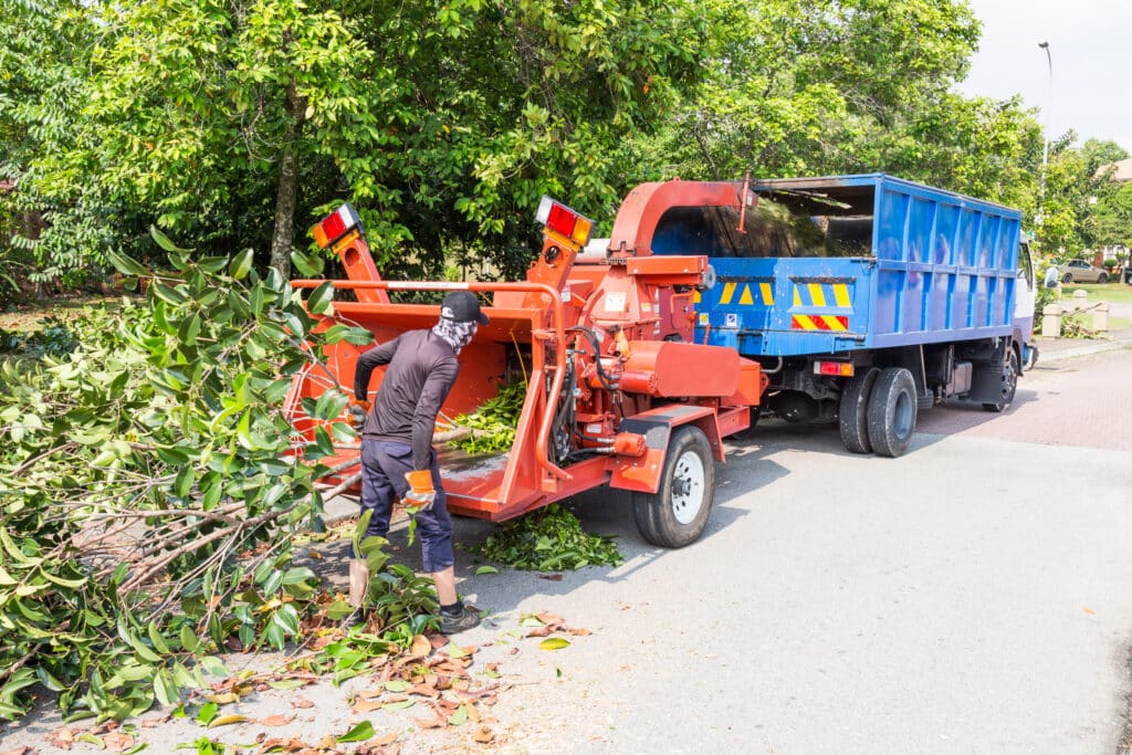 Gibbs Tree Service Offers Wood and Tree Chipping Services Serving all of Sussex County Delaware