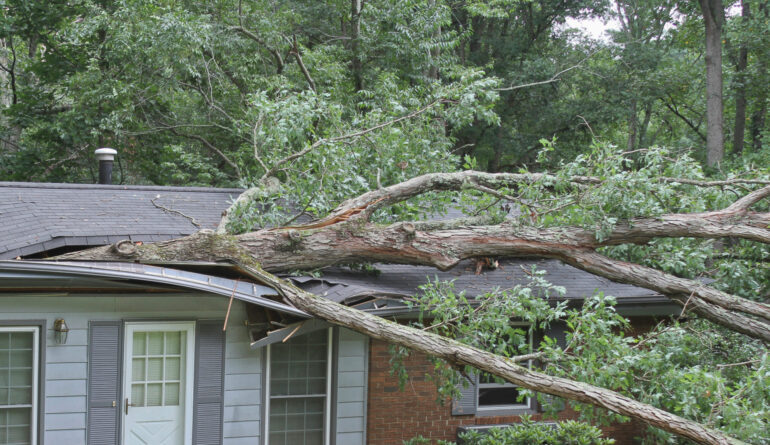 A large oak tree falls on a small house during a storm and splits it nearly in two