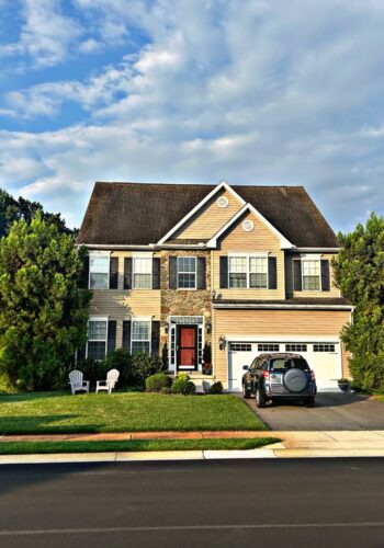 Tree removal by best tree service company in Sussex County, handling large, hazardous trees.