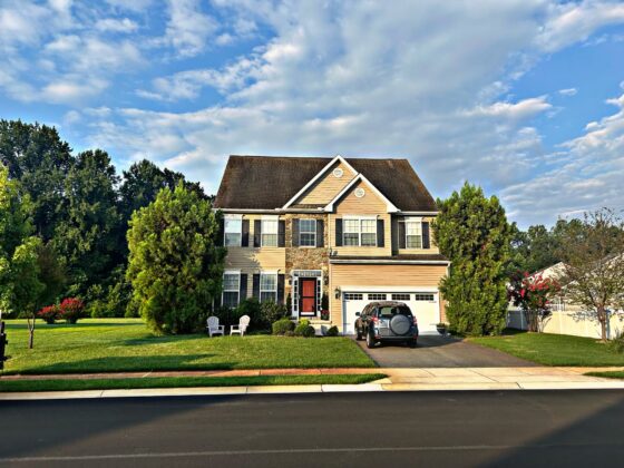 Tree removal by best tree service company in Sussex County, handling large, hazardous trees.