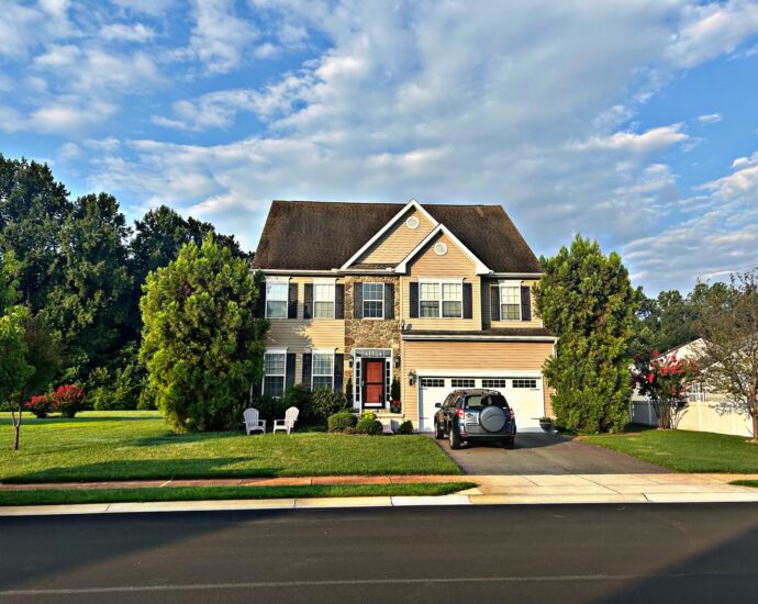 Tree removal by best tree service company in Sussex County, handling large, hazardous trees.