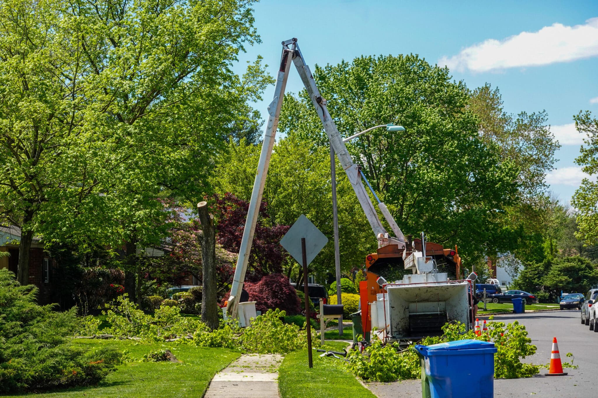 Expert Tree Service, Gibbs Tree Service in Delaware Serves everyone with affordable tree care and 24/7 emergency services.