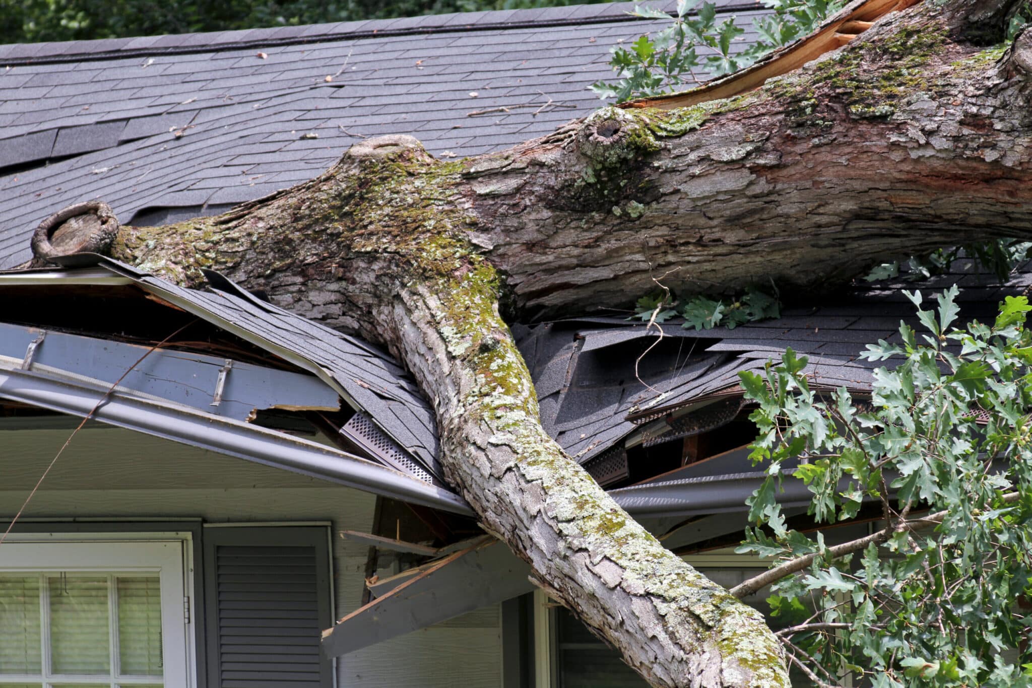 Emergency tree removal by Gibbs Tree Service in Sussex County, Delaware, showing skilled arborists safely clearing a fallen tree after a storm to prevent property damage.