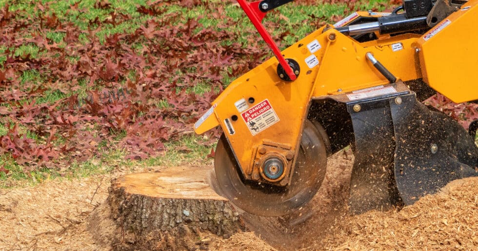 Stump Grinding Services with Gibbs Tree Service Stump Grinding Service and Removal in Seaford, Lewes, Rehoboth, Georgetown, Millsboro and all Surrounding Areas.