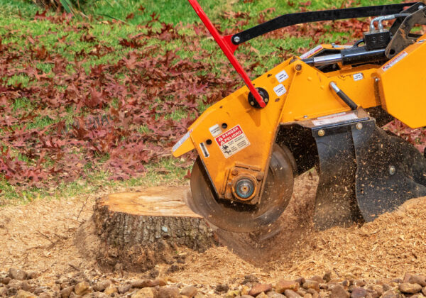 Stump Grinding Services with Gibbs Tree Service Stump Grinding Service and Removal in Seaford, Lewes, Rehoboth, Georgetown, Millsboro and all Surrounding Areas.