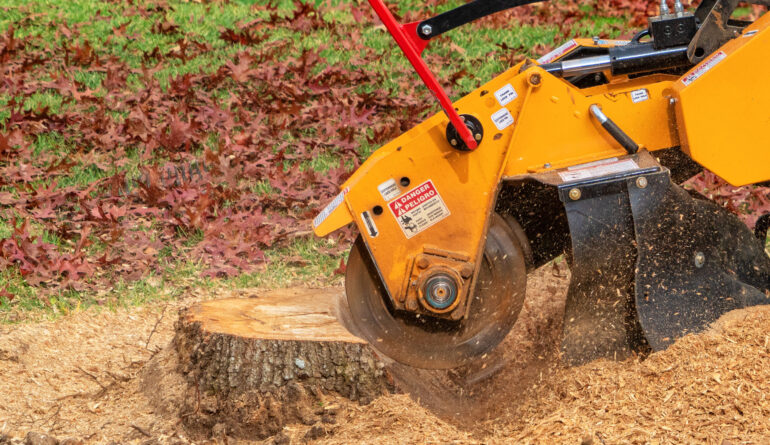 Stump Grinding Services with Gibbs Tree Service Stump Grinding Service and Removal in Seaford, Lewes, Rehoboth, Georgetown, Millsboro and all Surrounding Areas.