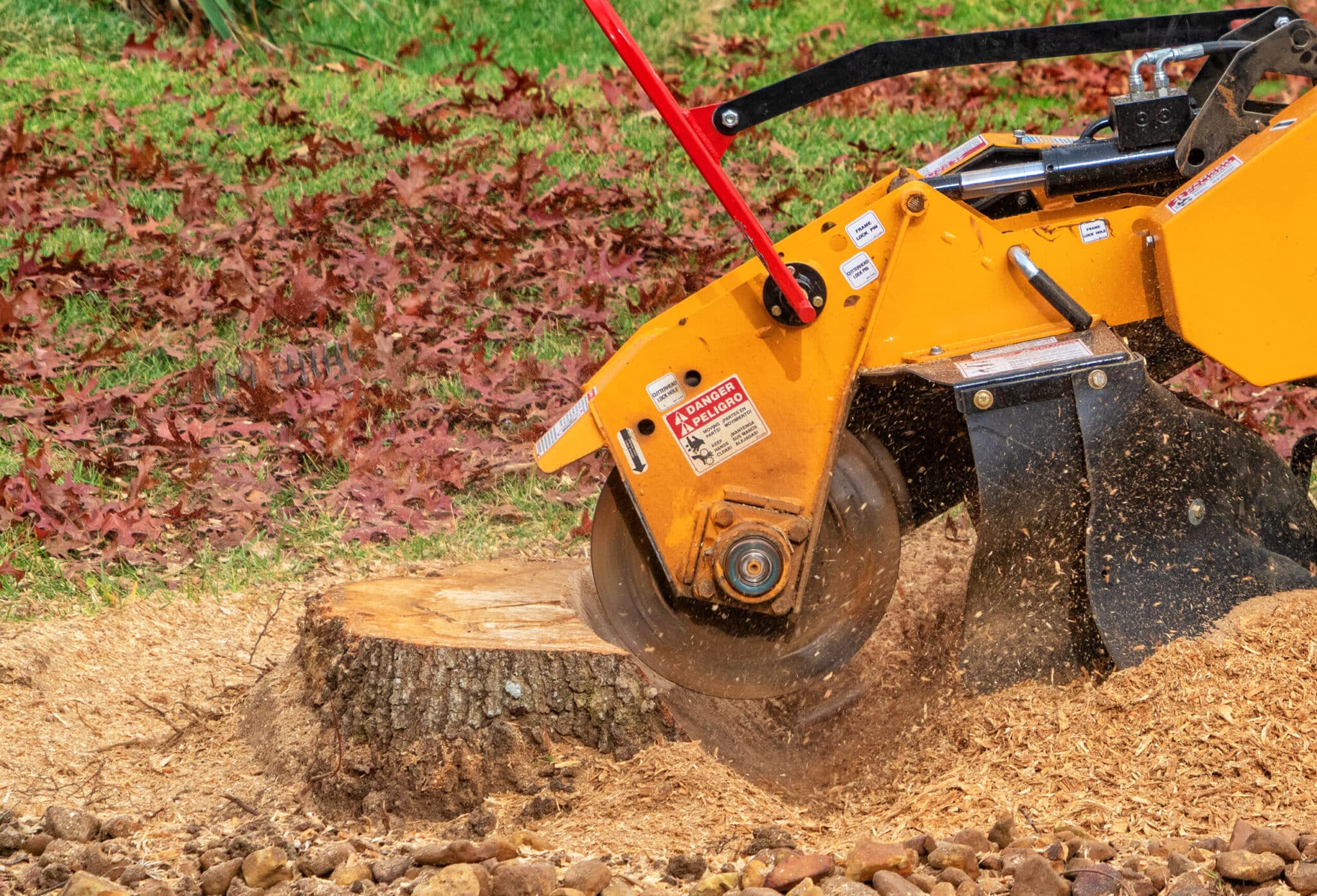 Stump Grinding Services with Gibbs Tree Service Stump Grinding Service and Removal in Seaford, Lewes, Rehoboth, Georgetown, Millsboro and all Surrounding Areas.