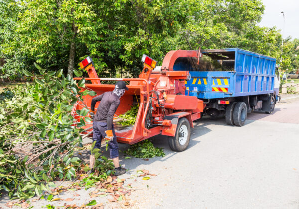 Tree Chipping Service by Gibbs Tree Service. Serving all of Delaware.