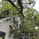 Affordable tree removal services providing clear landscapes and enhanced safety in Delaware.