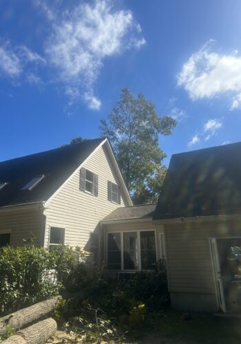 Tree trimming and lopping services by Gibbs Tree Service, featuring a worker using specialized equipment for safe and efficient tree care.