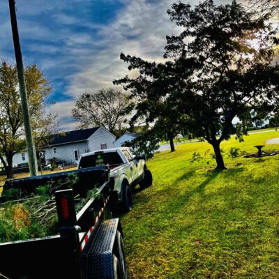 Affordable tree removal by Gibbs Tree Service, featuring a truck hauling debris in Sussex County, Delaware.