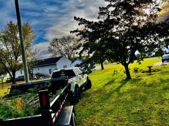 Affordable tree removal by Gibbs Tree Service, featuring a truck hauling debris in Sussex County, Delaware.