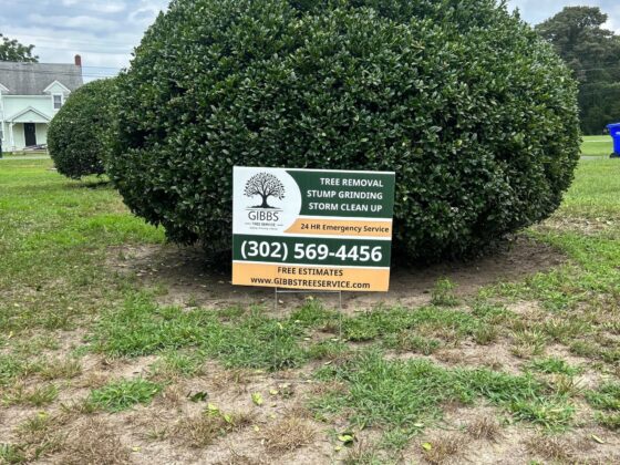 Bush Trimming Near You Serving all of sussex county delaware gibbs tree service